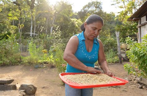 Organization Profile: Mercy Corps .